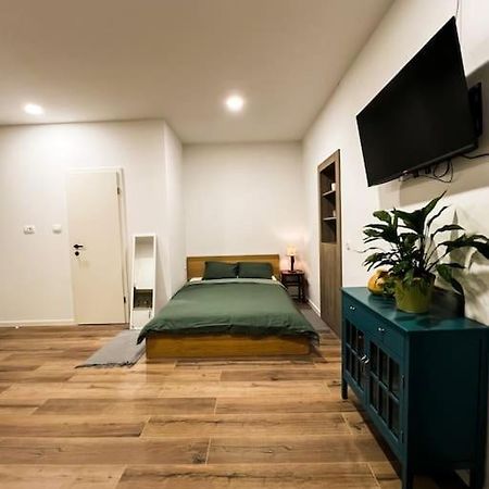 Studio Apartment Joanna Рийека Екстериор снимка
