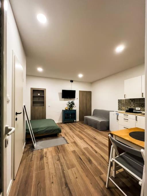 Studio Apartment Joanna Рийека Екстериор снимка