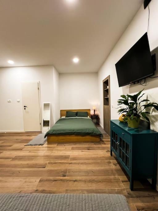 Studio Apartment Joanna Рийека Екстериор снимка