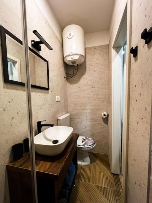 Studio Apartment Joanna Рийека Екстериор снимка