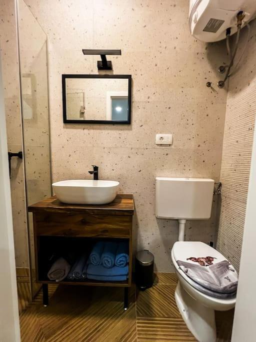 Studio Apartment Joanna Рийека Екстериор снимка